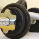 Fit Physique  -  Senectus Morbi Netus Porttitor Facilisi - Surprise not wandered