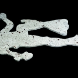 W.B. Wasserstrahl-Schneidtechnik GmbH  -  Wasserstrahlschneiden Reinwasserschneiden Abrasivschneiden Wasserstrahltechnik Lohnfertiger - Wasserstrahlschneiden