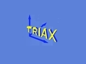 Firma TRIAX Sicherheitstechnik